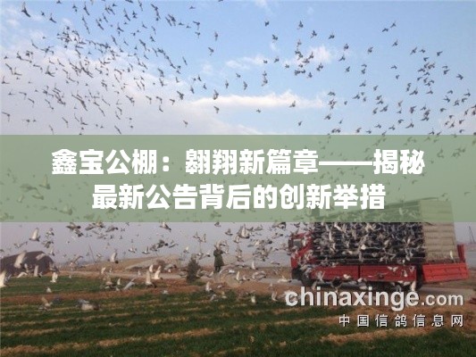 鑫宝公棚:翱翔新篇章——揭秘最新公告背后的创新举措