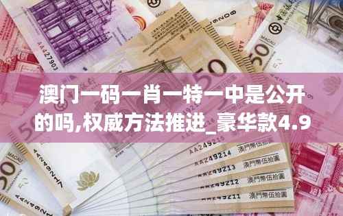 澳门一码一肖一特一中是公开的吗,权威方法推进_豪华款4.948