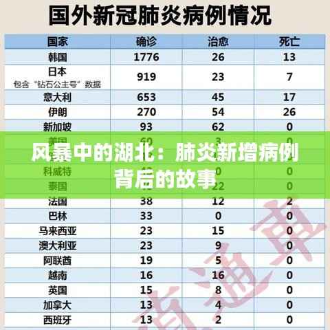 风暴中的湖北:肺炎新增病例背后的故事