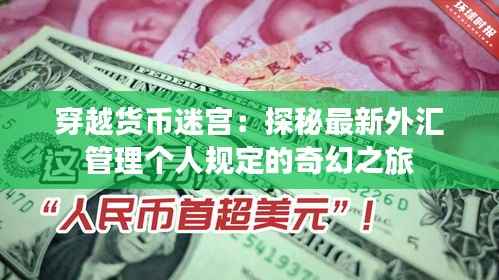 合作流程 第264页