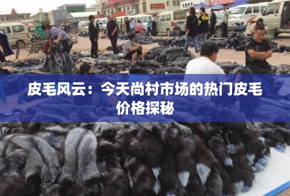 皮毛风云:今天尚村市场的热门皮毛价格探秘