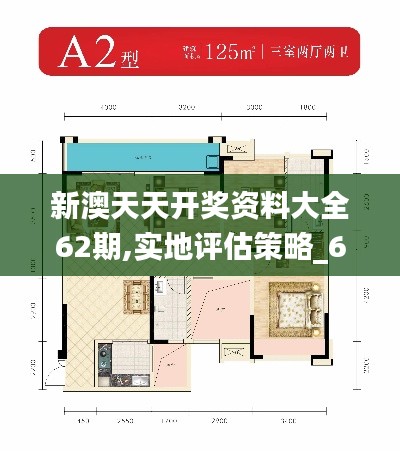 新澳天天开奖资料大全62期,实地评估策略_6DM4.111