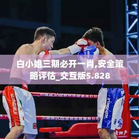 白小姐三期必开一肖,安全策略评估_交互版5.828