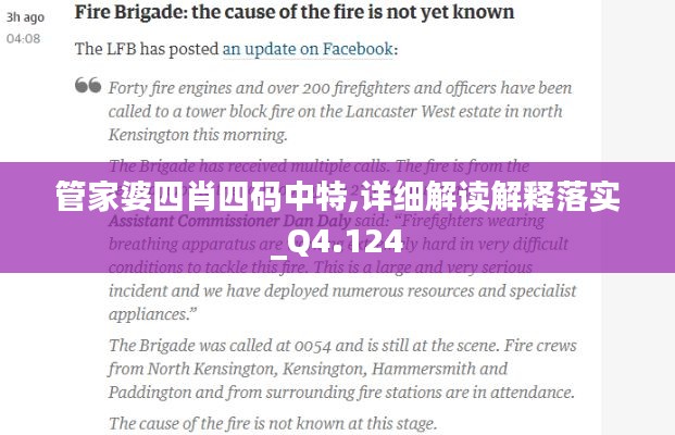 管家婆四肖四码中特,详细解读解释落实_Q4.124