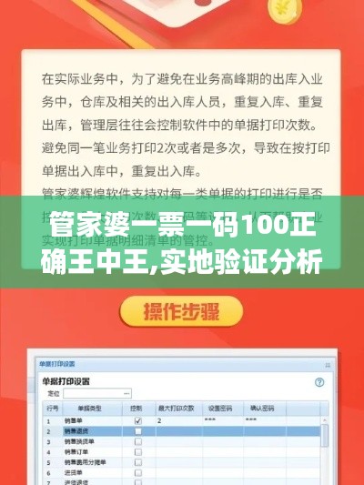 管家婆一票一码100正确王中王,实地验证分析策略_安卓10.303