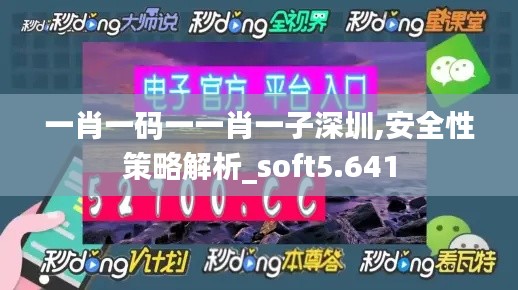 一肖一码一一肖一子深圳,安全性策略解析_soft5.641