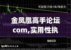 金凤凰高手论坛com,实用性执行策略讲解_静态版3.133
