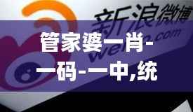 管家婆一肖-一码-一中,统计分析解释定义_10DM5.777