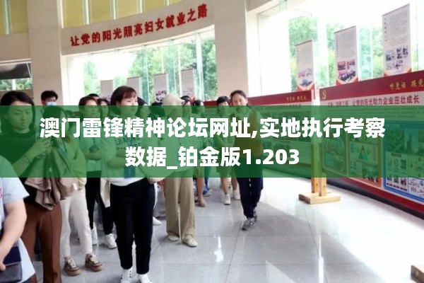 澳门雷锋精神论坛网址,实地执行考察数据_铂金版1.203