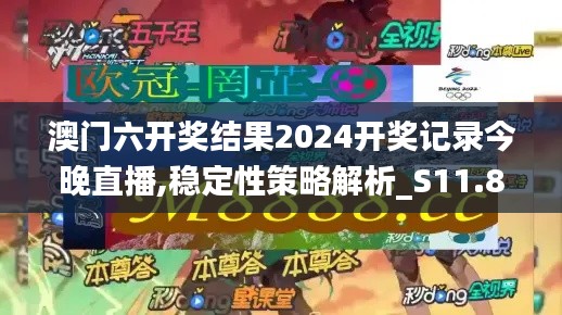 澳门六开奖结果2024开奖记录今晚直播,稳定性策略解析_S11.855