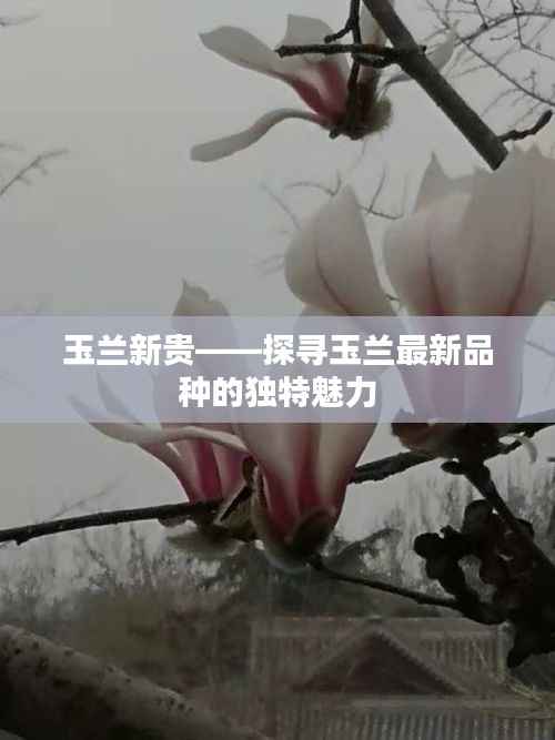 夭桃秾李 第3页