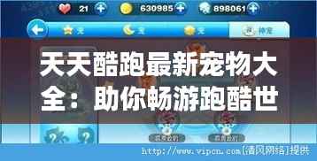 天天酷跑最新宠物大全：助你畅游跑酷世界