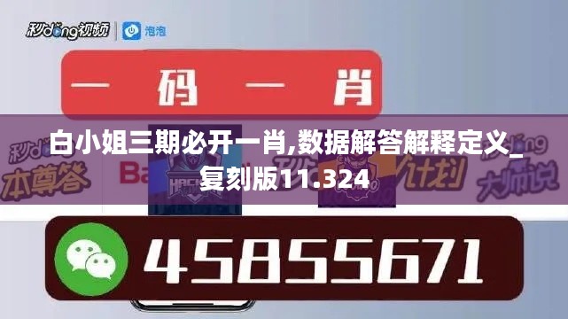 白小姐三期必开一肖,数据解答解释定义_复刻版11.324