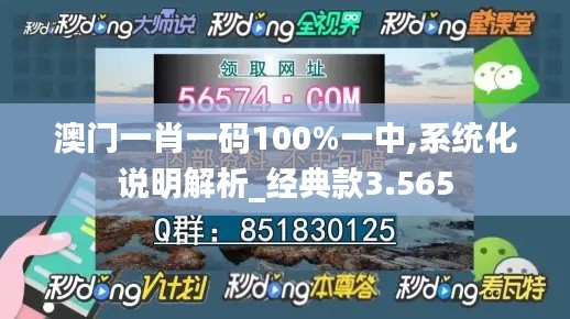 澳门一肖一码100%一中,系统化说明解析_经典款3.565