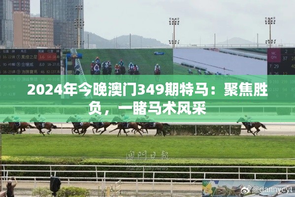 2024年今晚澳门349期特马:聚焦胜负,一睹马术风采