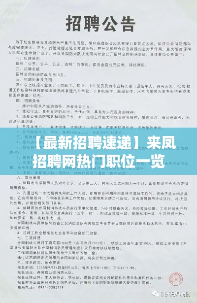 【最新招聘速递】来凤招聘网热门职位一览