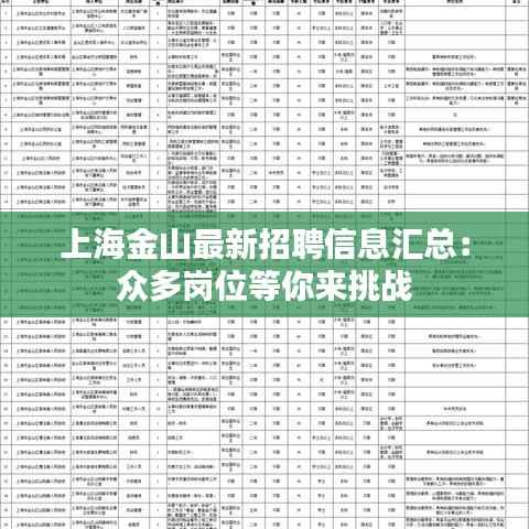 上海金山最新招聘信息汇总：众多岗位等你来挑战