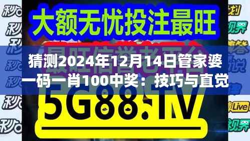 猜测2024年12月14日管家婆一码一肖100中奖:技巧与直觉的博弈