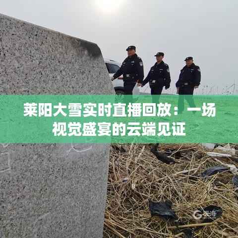 莱阳大雪实时直播回放:一场视觉盛宴的云端见证