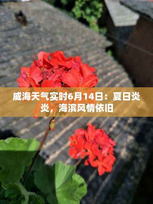 威海天气实时6月14日:夏日炎炎,海滨风情依旧