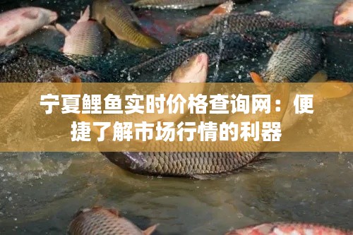 宁夏鲤鱼实时价格查询网:便捷了解市场行情的利器