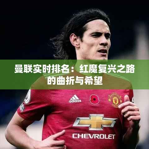 曼联实时排名:红魔复兴之路的曲折与希望