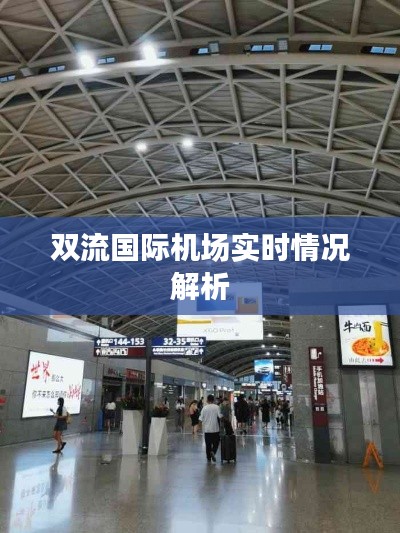 双流国际机场实时情况解析