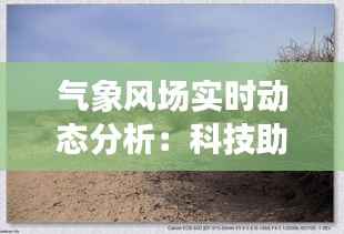 气象风场实时动态分析：科技助力气象预报的精准化