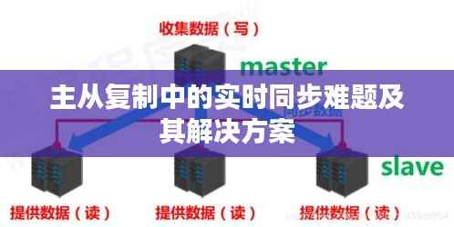 夫妻本是同林鸟 第3页