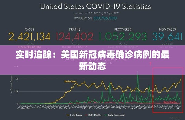 实时追踪:美国新冠病毒确诊病例的最新动态