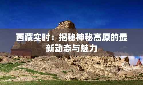 西藏实时:揭秘神秘高原的最新动态与魅力
