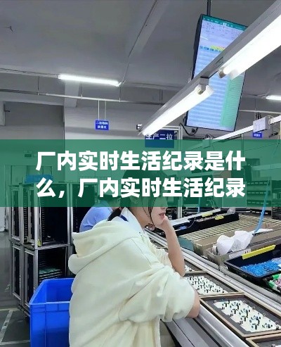 厂内实时生活纪录是什么，厂内实时生活纪录是什么东西 
