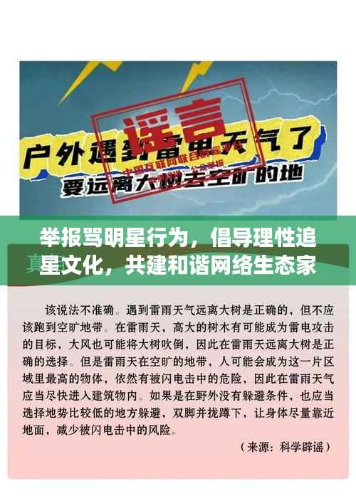 举报骂明星行为，倡导理性追星文化，共建和谐网络生态家园