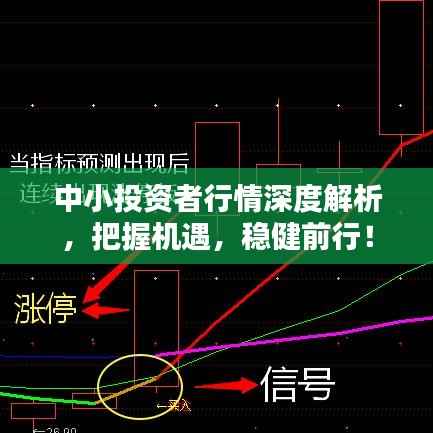 中小投资者行情深度解析，把握机遇，稳健前行！