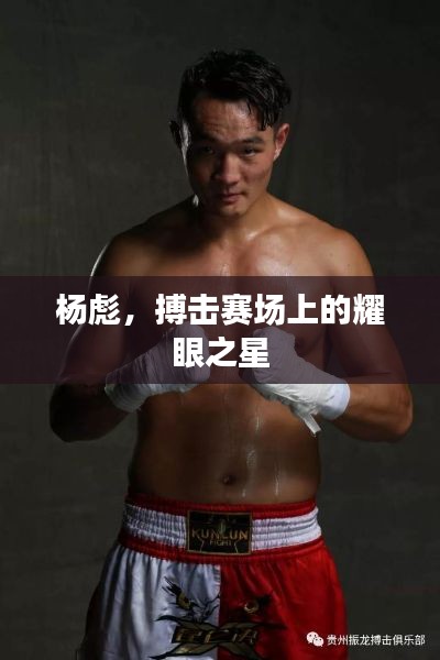 杨彪,搏击赛场上的耀眼之星