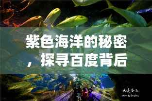 紫色海洋的秘密，探寻百度背后的神秘色彩