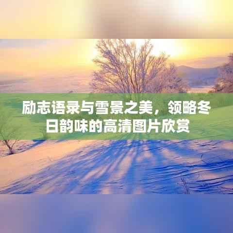 励志语录与雪景之美,领略冬日韵味的高清图片欣赏