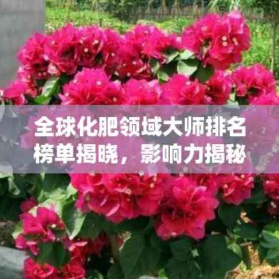 全球化肥领域大师排名榜单揭晓,影响力揭秘!