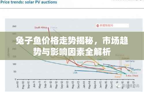 兔子鱼价格走势揭秘，市场趋势与影响因素全解析