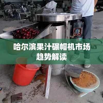 哈尔滨果汁碾帽机市场趋势解读