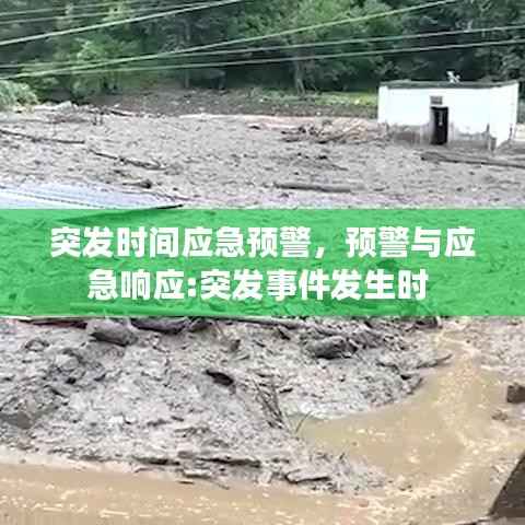 突发时间应急预警,预警与应急响应:突发事件发生时