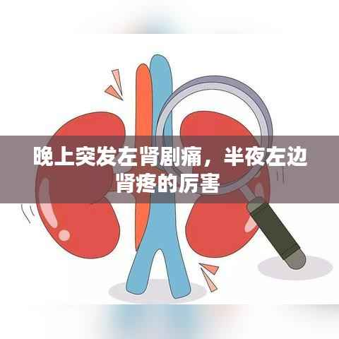 晚上突发左肾剧痛,半夜左边肾疼的厉害