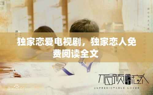 独家恋爱电视剧,独家恋人免费阅读全文