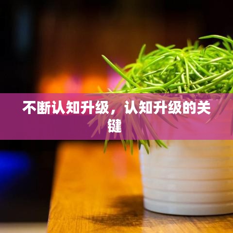 不断认知升级，认知升级的关键 