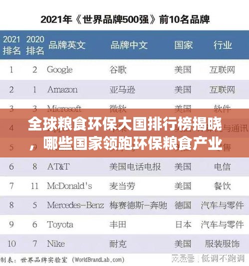 全球粮食环保大国排行榜揭晓，哪些国家领跑环保粮食产业？