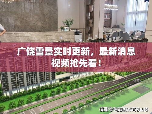 广饶雪景实时更新,最新消息视频抢先看!