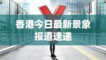 香港今日最新景象报道速递