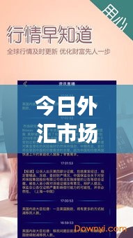 今日外汇市场最新即时动态行情速递