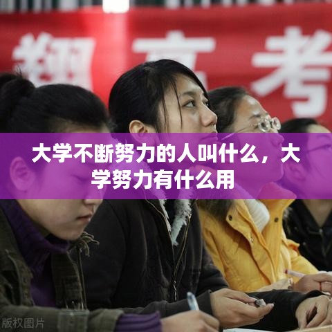 大学不断努力的人叫什么，大学努力有什么用 