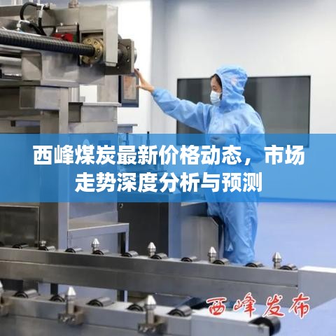西峰煤炭最新价格动态,市场走势深度分析与预测